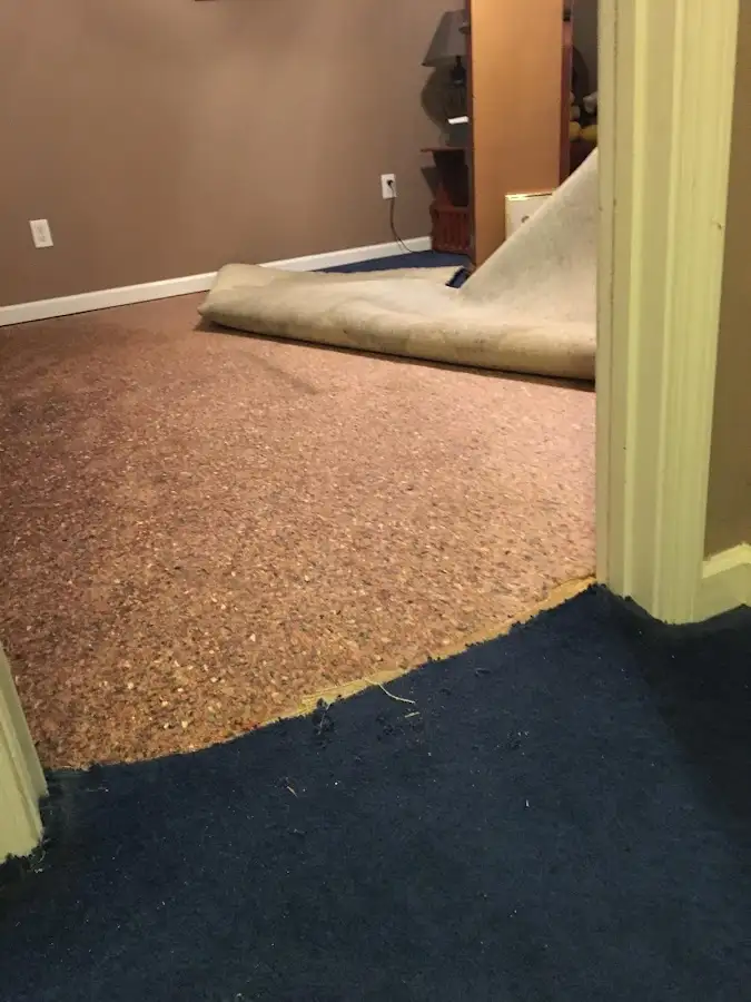 Carpet pad removal revealing water damage during Drying & Dehumidification in Westwood Lakes