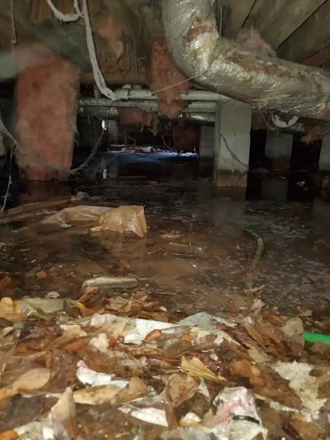 Crawl space flood assessment for Leak Detection & Repair in Westwood Lakes